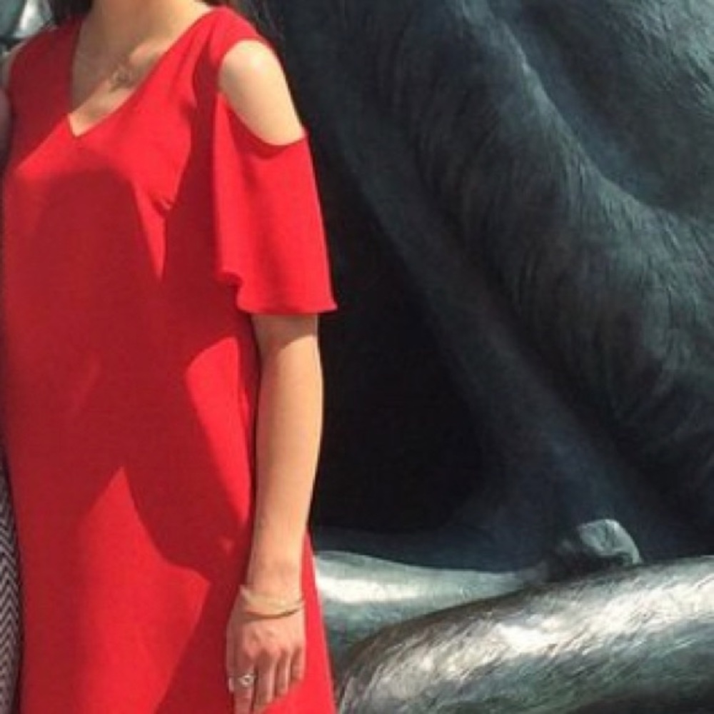 RW&Co. Red Dress - Picture 8 of 11
